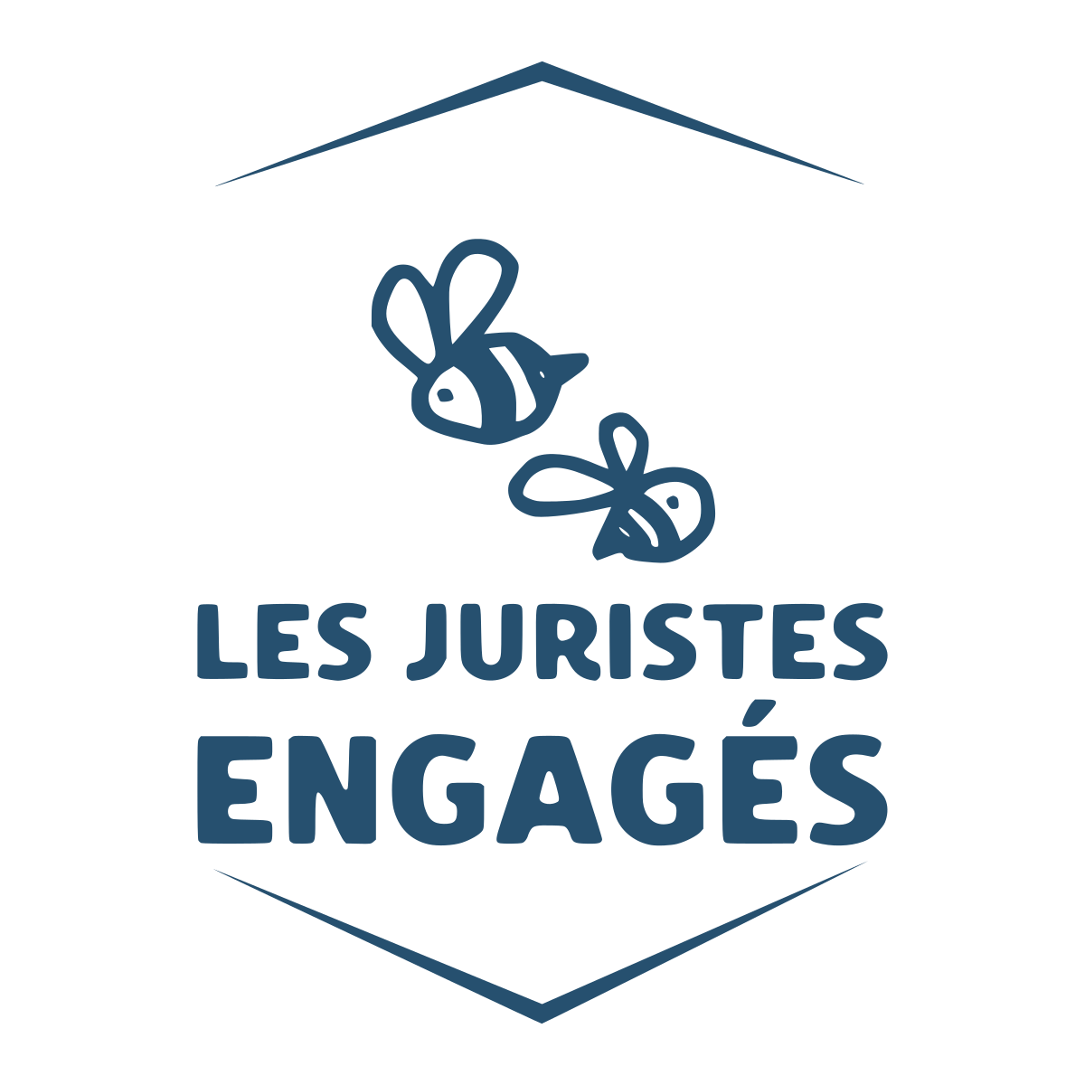 Collectif des Juristes Engagé·es